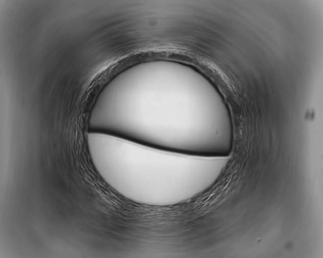 X0000101111064200806261103