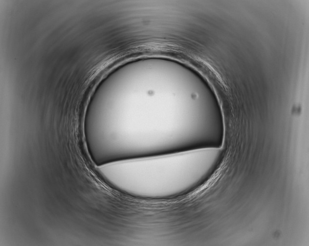 X0000101111065200806261103
