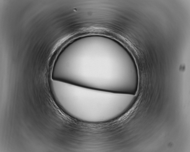 X0000101111066200806261103