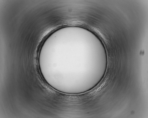 X0000101111071200806261103