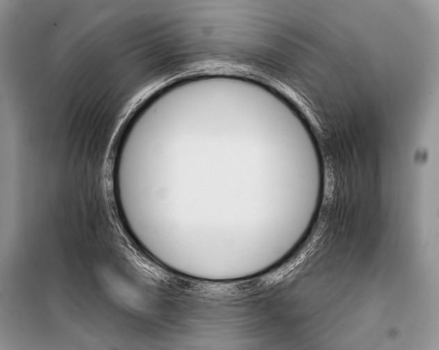X0000101111074200806261103