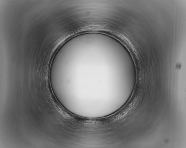 X0000101111081200806261103