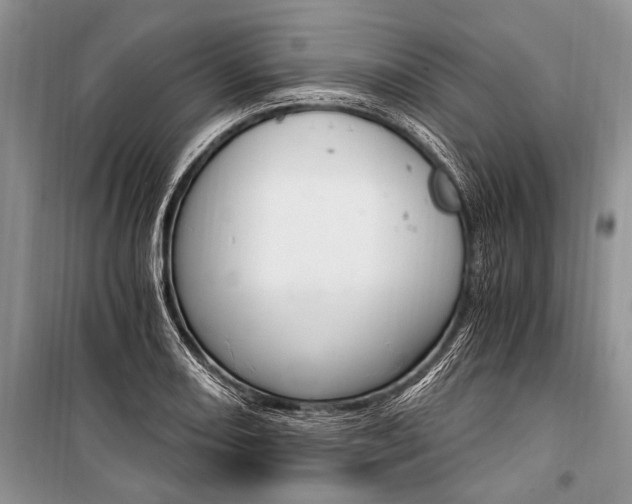 X0000101111082200806261103