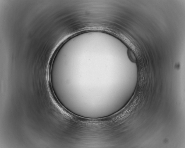 X0000101111084200806261103