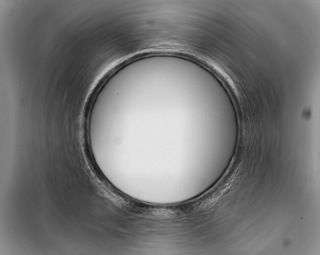 X0000101111085200806261103