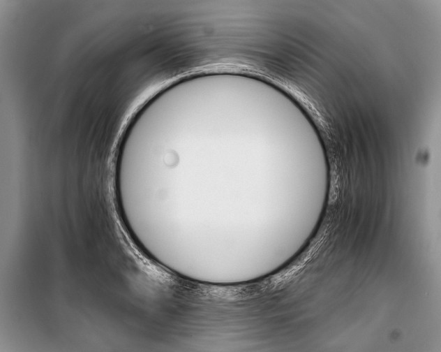 X0000101111086200806261103