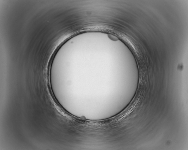 X0000101111087200806261103
