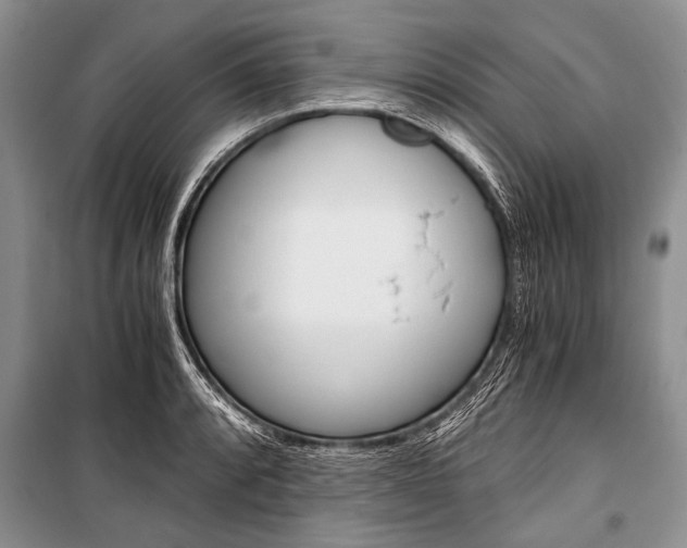 X0000101111088200806261103