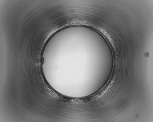 X0000101111089200806261103
