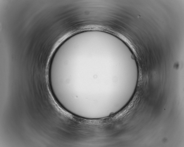 X0000101111090200806261103