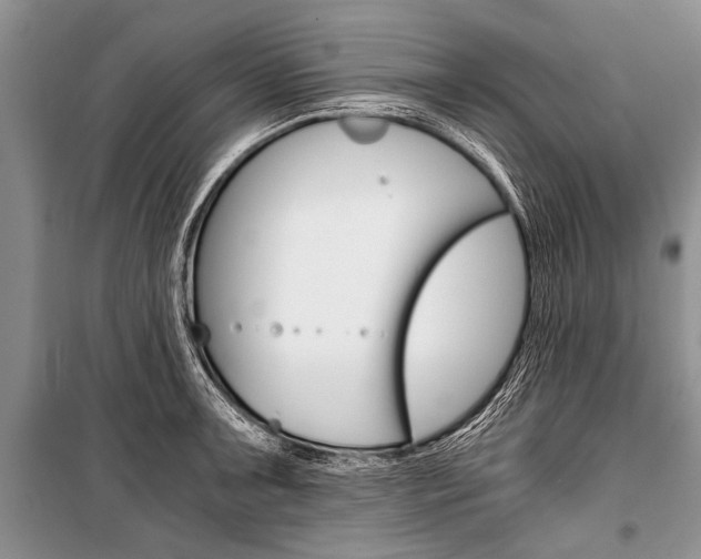 X0000101111091200806261103