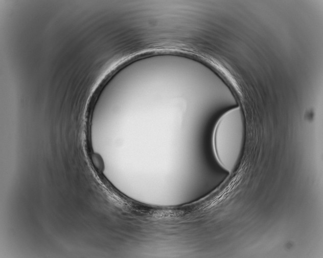 X0000101111093200806261103