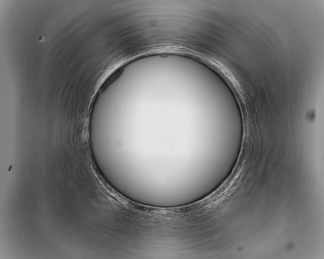 X0000101111097200806261103