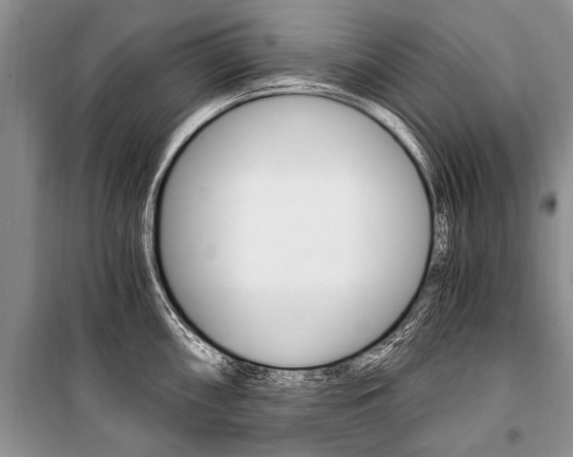 X0000101111098200806261103