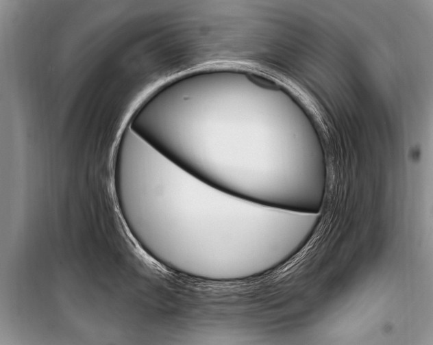 X0000101111102200806261102