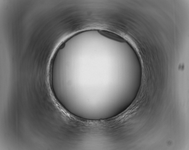 X0000101111104200806261102