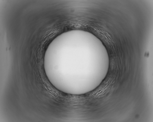 X0000101111105200806261102