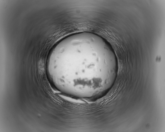 X0000101111106200806261102