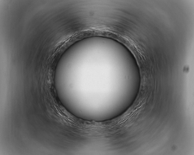 X0000101111110200806261102