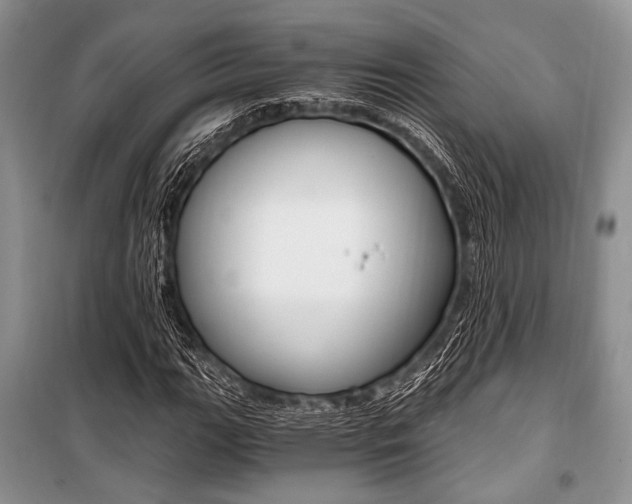 X0000101111111200806261102
