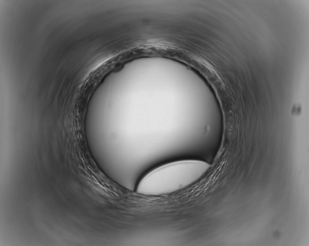 X0000101111112200806261102