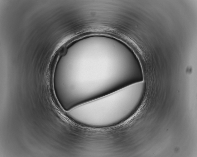 X0000101111114200806261102
