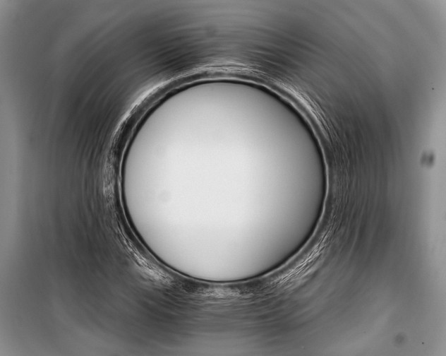 X0000101111115200806261102