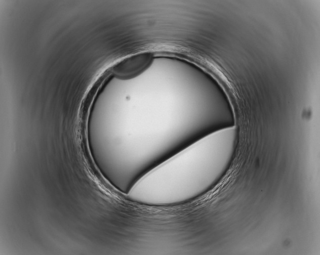 X0000101111116200806261102