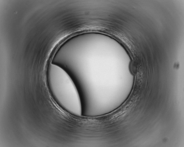 X0000101111119200806261102