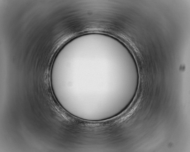 X0000101111121200806261102