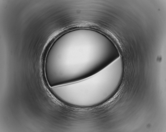 X0000101111122200806261102