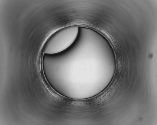 X0000101111123200806261102