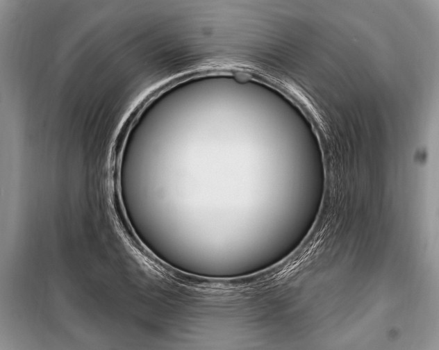 X0000101111124200806261102