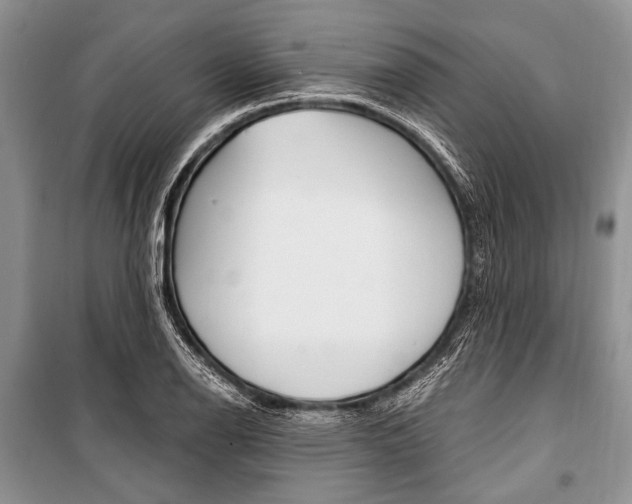 X0000101111126200806261102