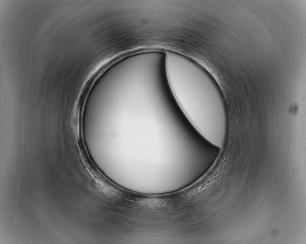 X0000101111127200806261102
