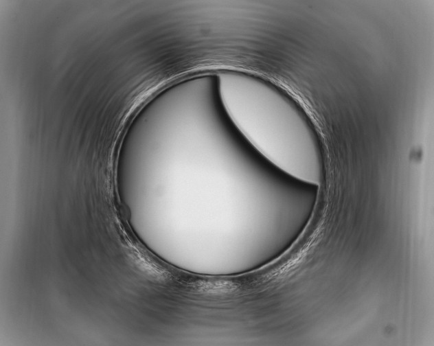 X0000101111129200806261102