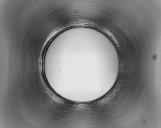 X0000101111130200806261102