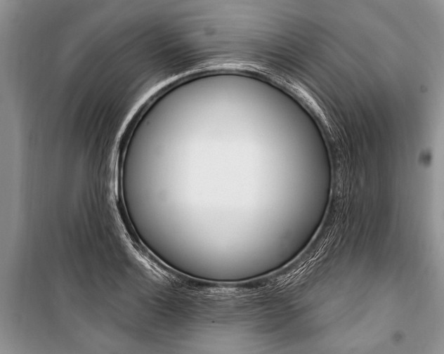 X0000101111132200806261102