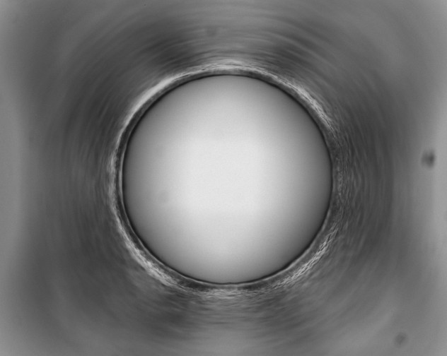X0000101111134200806261102