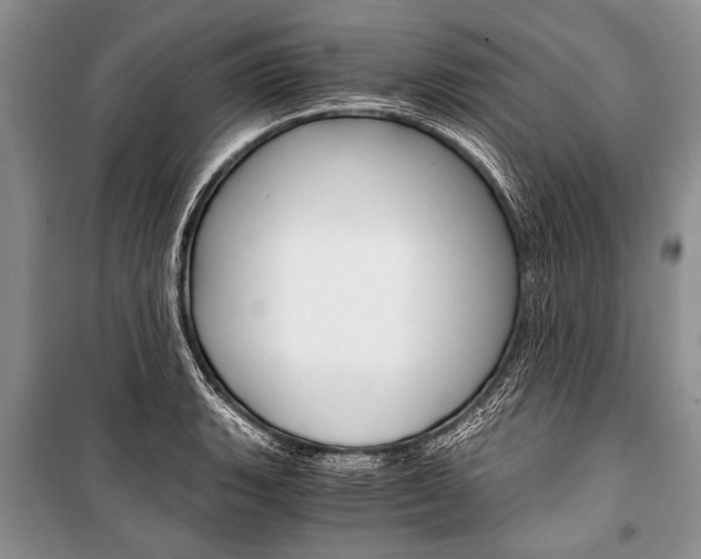 X0000101111135200806261102