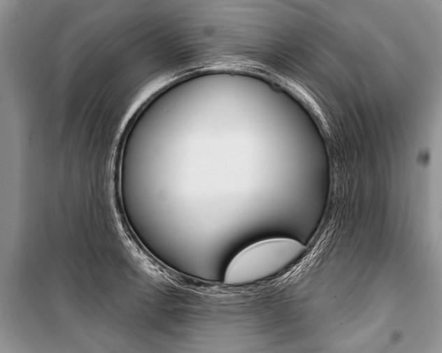 X0000101111138200806261102