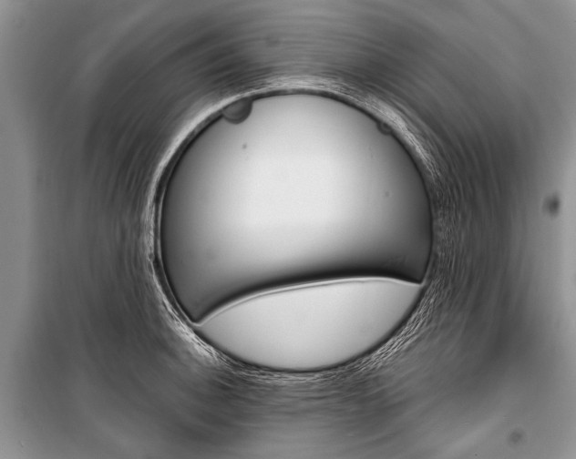 X0000101111140200806261102