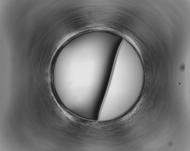 X0000101111141200806261102