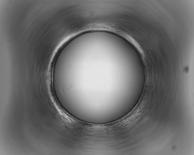 X0000101111144200806261102