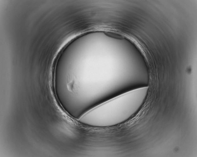 X0000101111147200806261102