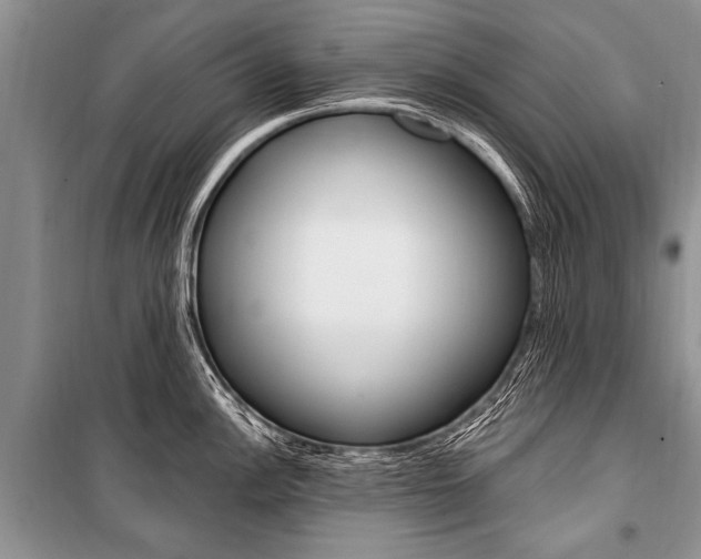 X0000101111148200806261102