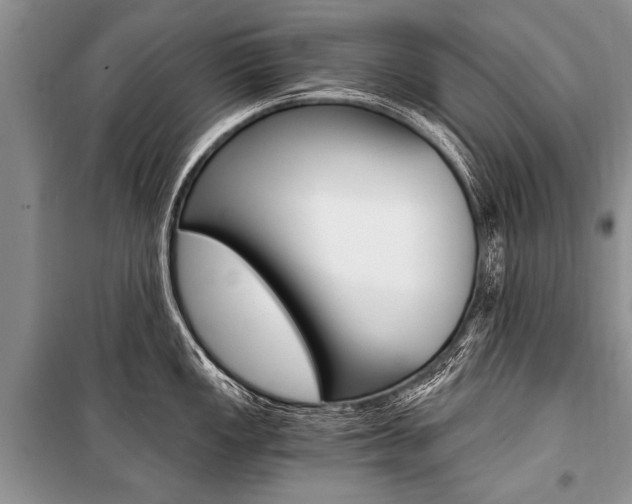 X0000101111149200806261102