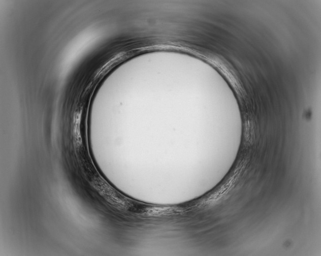 X0000101111150200806261102