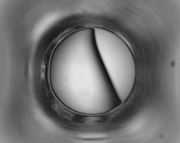 X0000101111151200806261102