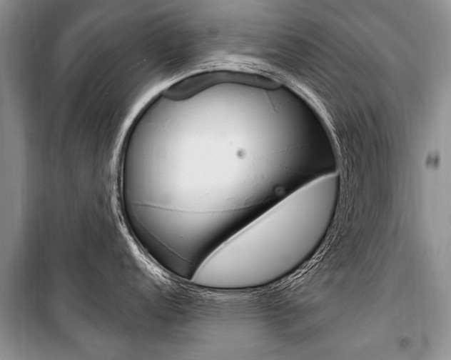 X0000101111152200806261102